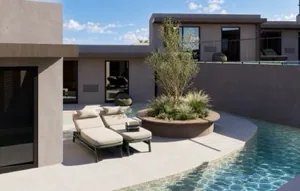 Sun loungers by the pool next to an olive tree
